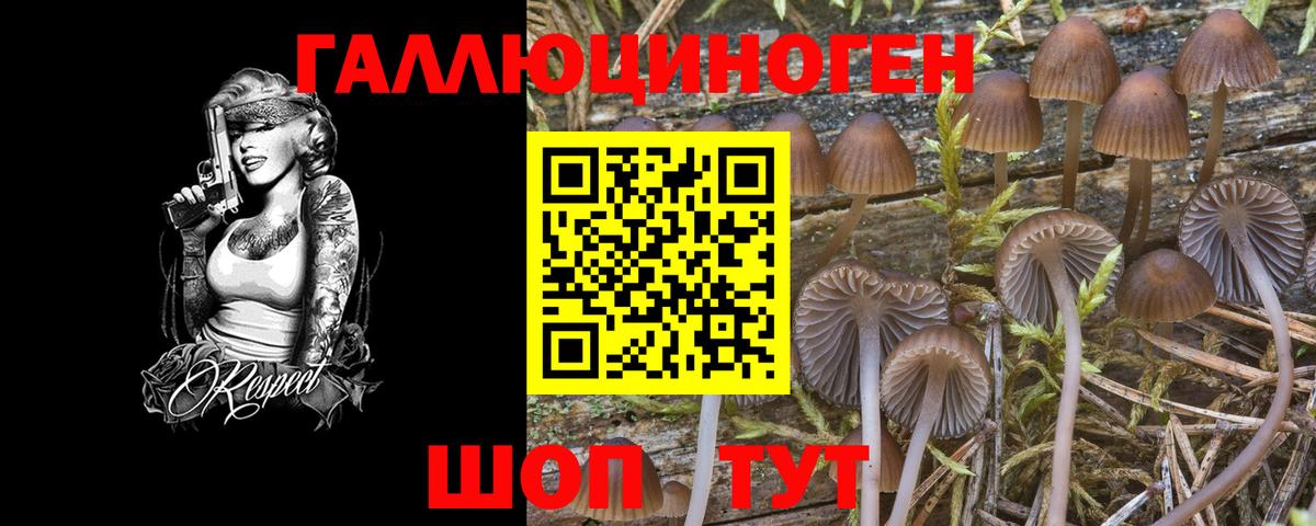Псилоцибиновые грибы прущие грибы Первоуральск